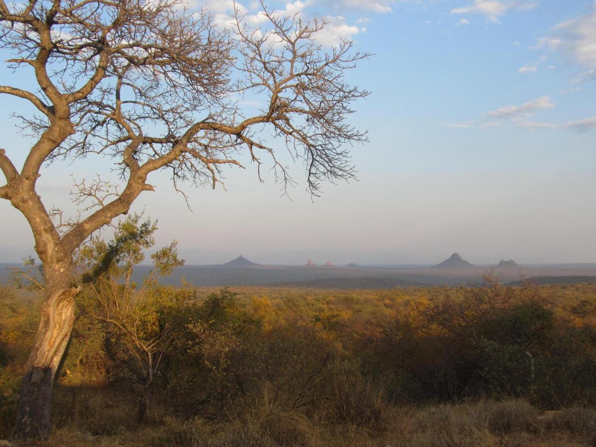 Sausage Tree Safari Camp Khu bảo tồn Khu bảo tồn Balule Game Reserve Ngoại thất bức ảnh