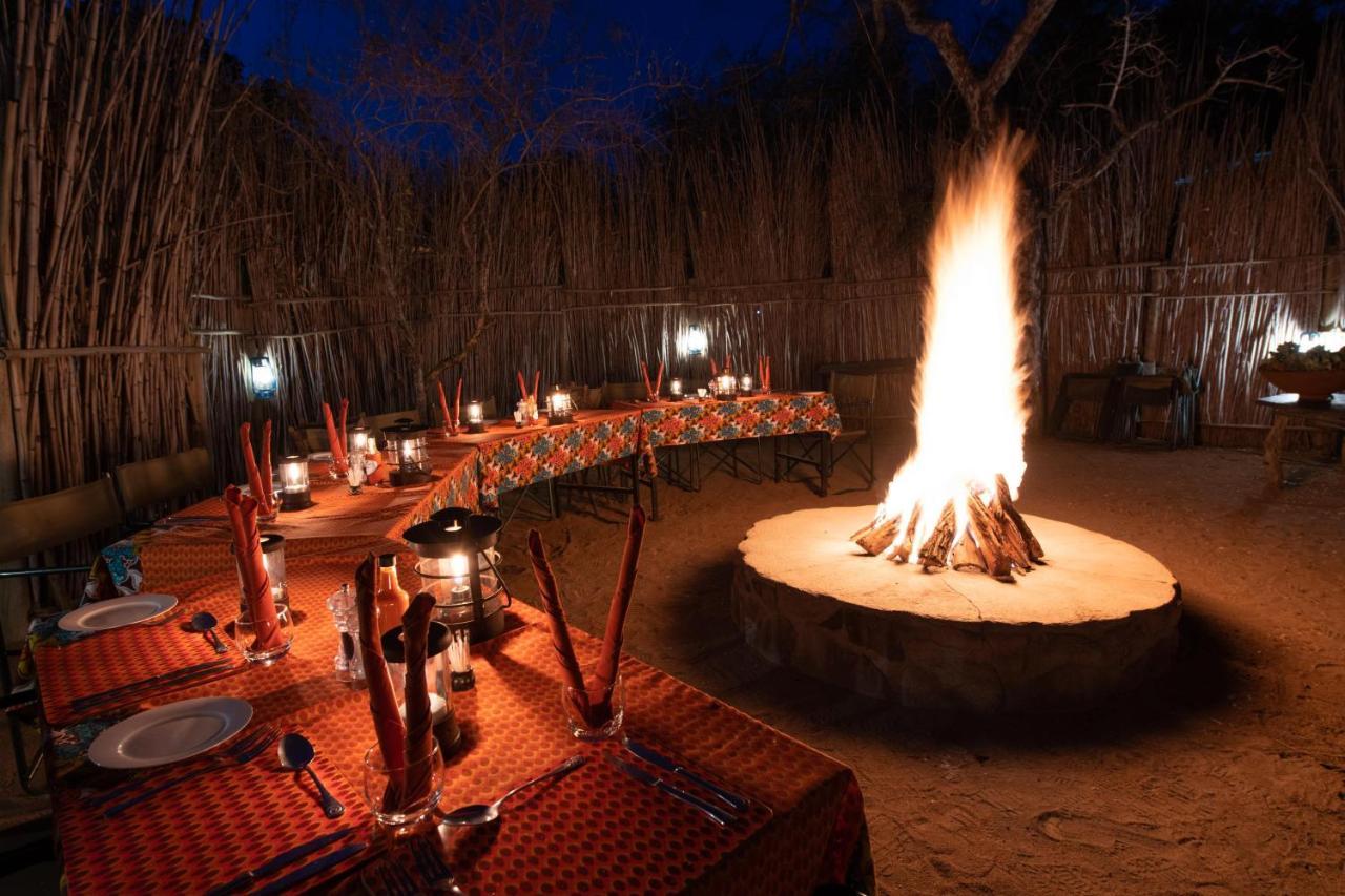 Sausage Tree Safari Camp Khu bảo tồn Khu bảo tồn Balule Game Reserve Ngoại thất bức ảnh