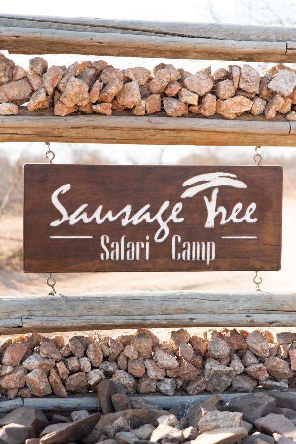 Sausage Tree Safari Camp Khu bảo tồn Khu bảo tồn Balule Game Reserve Ngoại thất bức ảnh