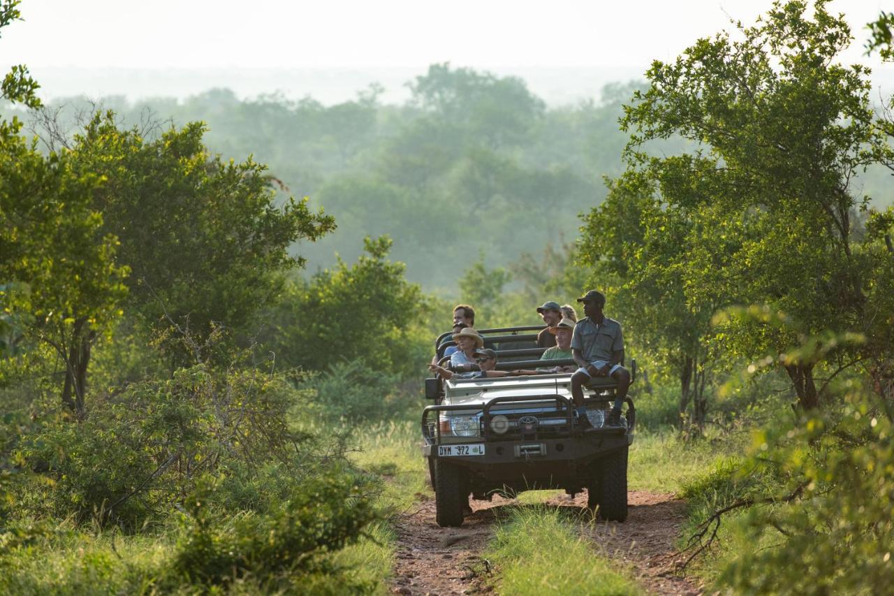 Sausage Tree Safari Camp Khu bảo tồn Khu bảo tồn Balule Game Reserve Ngoại thất bức ảnh