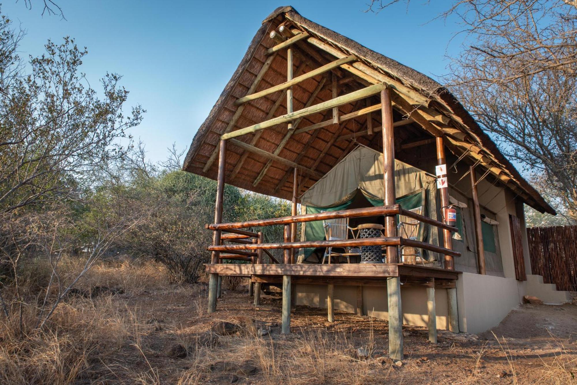Sausage Tree Safari Camp Khu bảo tồn Khu bảo tồn Balule Game Reserve Ngoại thất bức ảnh