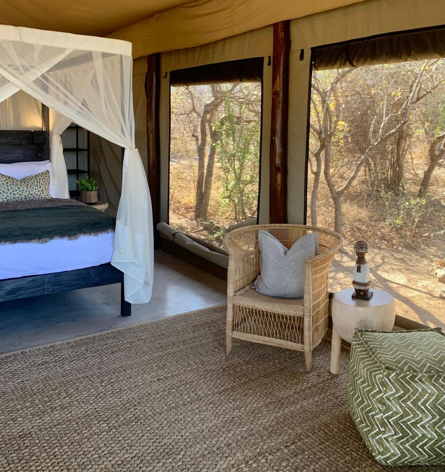 Sausage Tree Safari Camp Khu bảo tồn Khu bảo tồn Balule Game Reserve Ngoại thất bức ảnh