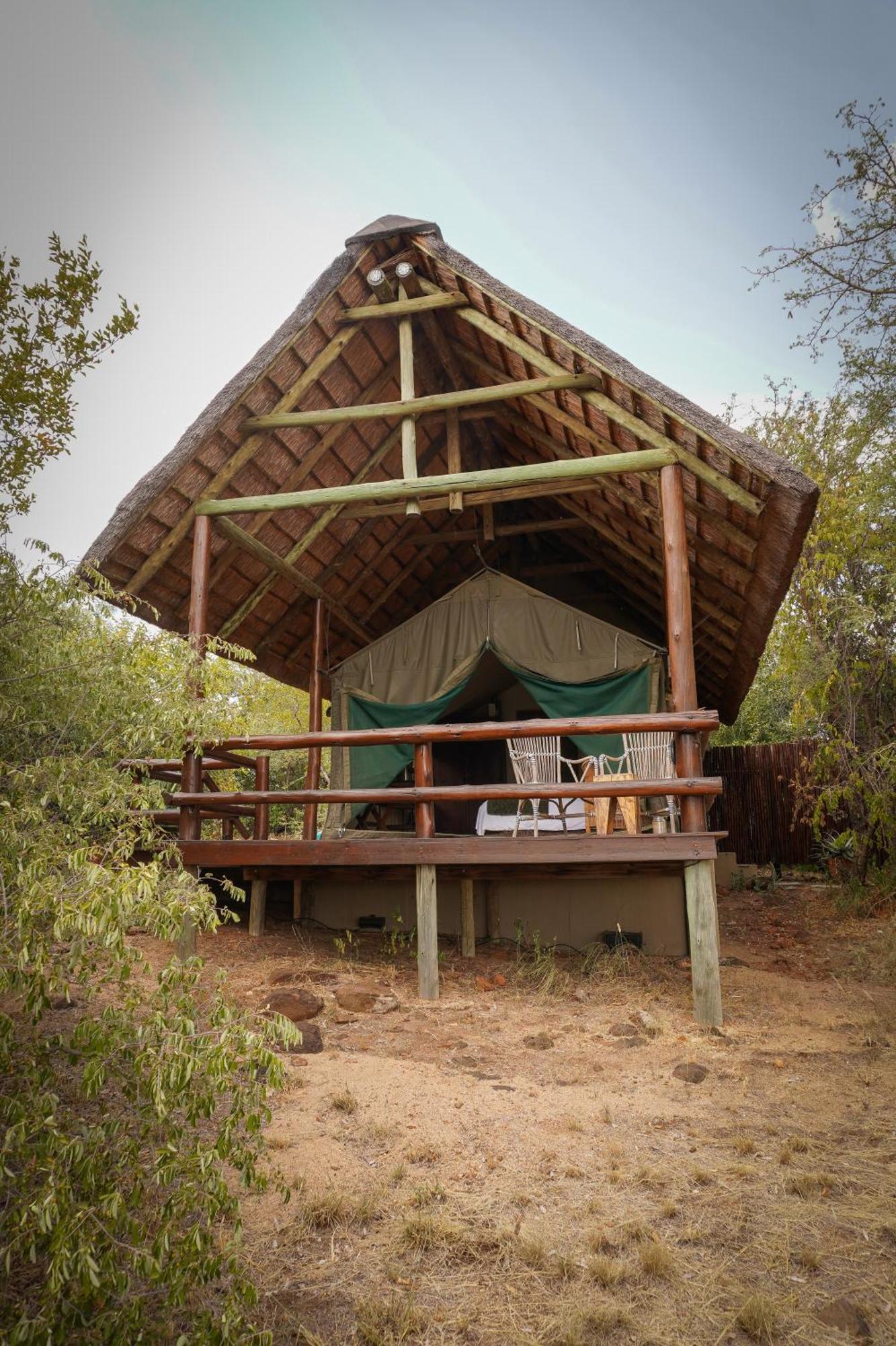 Sausage Tree Safari Camp Khu bảo tồn Khu bảo tồn Balule Game Reserve Ngoại thất bức ảnh