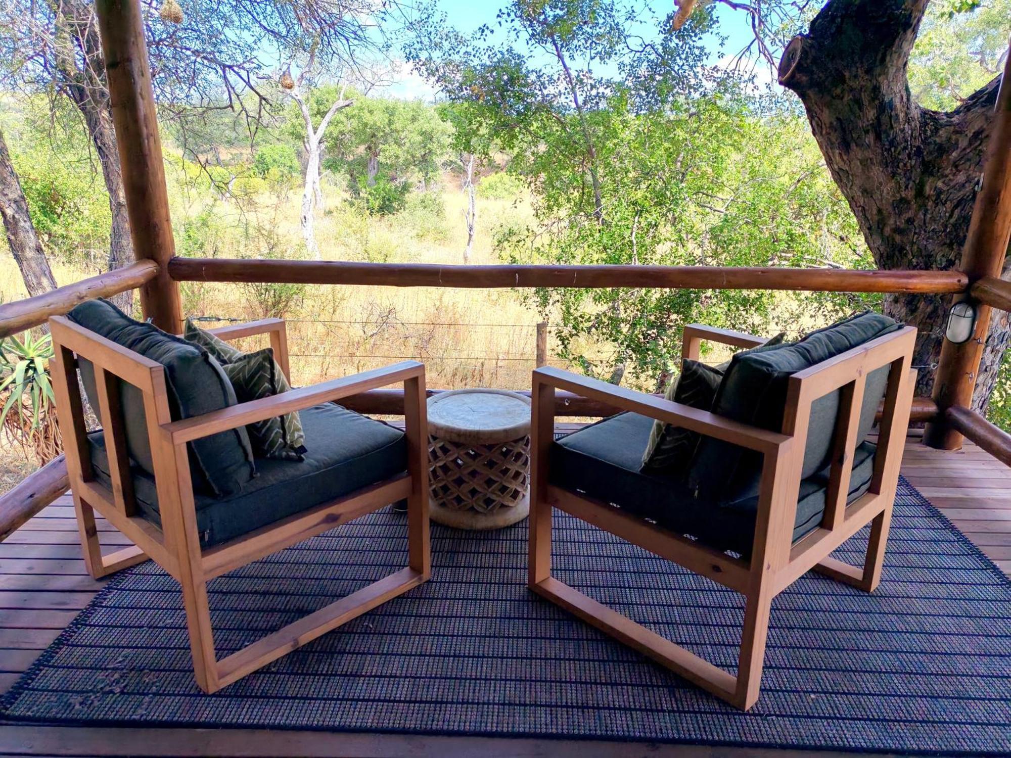 Sausage Tree Safari Camp Khu bảo tồn Khu bảo tồn Balule Game Reserve Ngoại thất bức ảnh