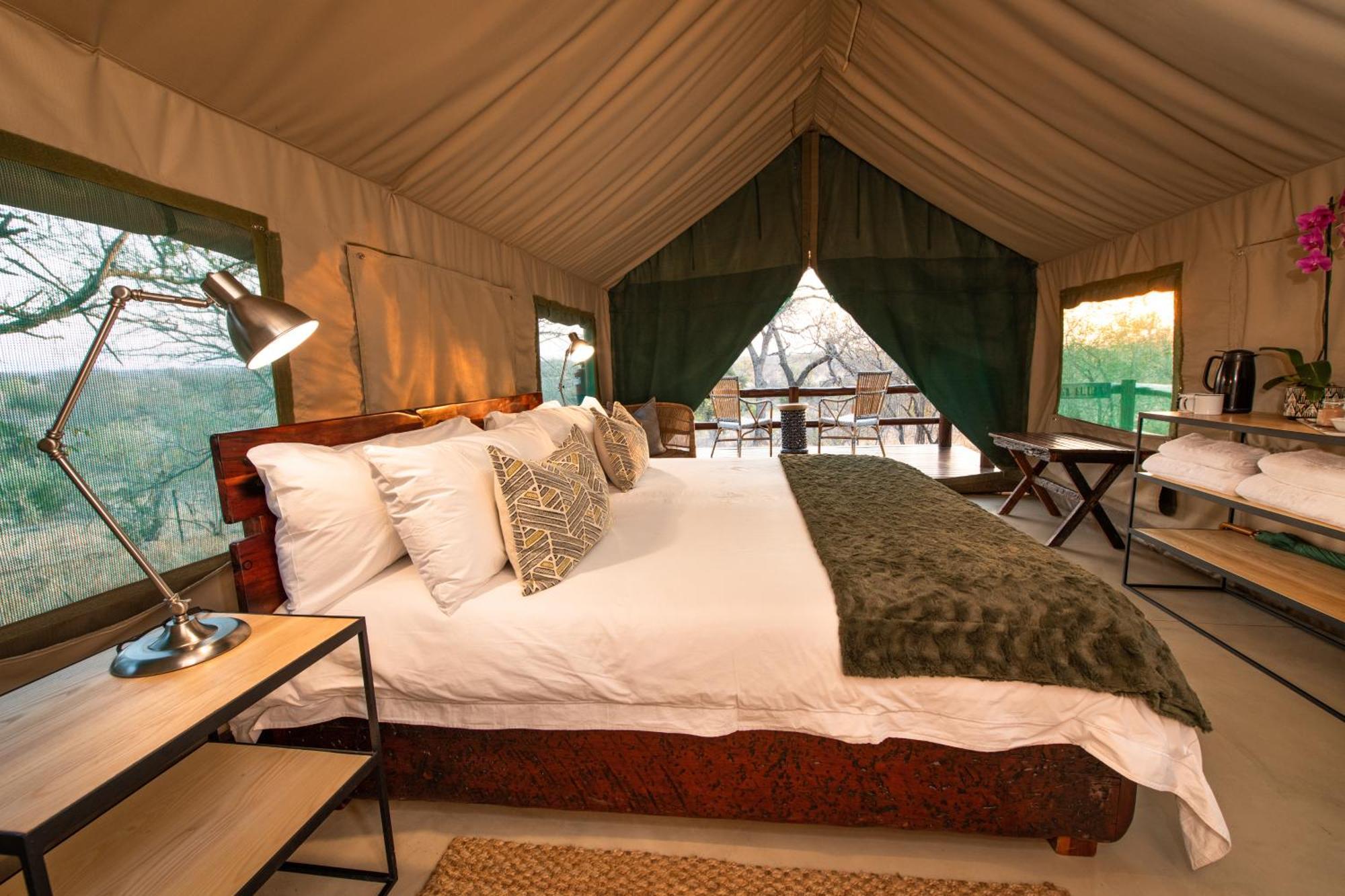 Sausage Tree Safari Camp Khu bảo tồn Khu bảo tồn Balule Game Reserve Ngoại thất bức ảnh