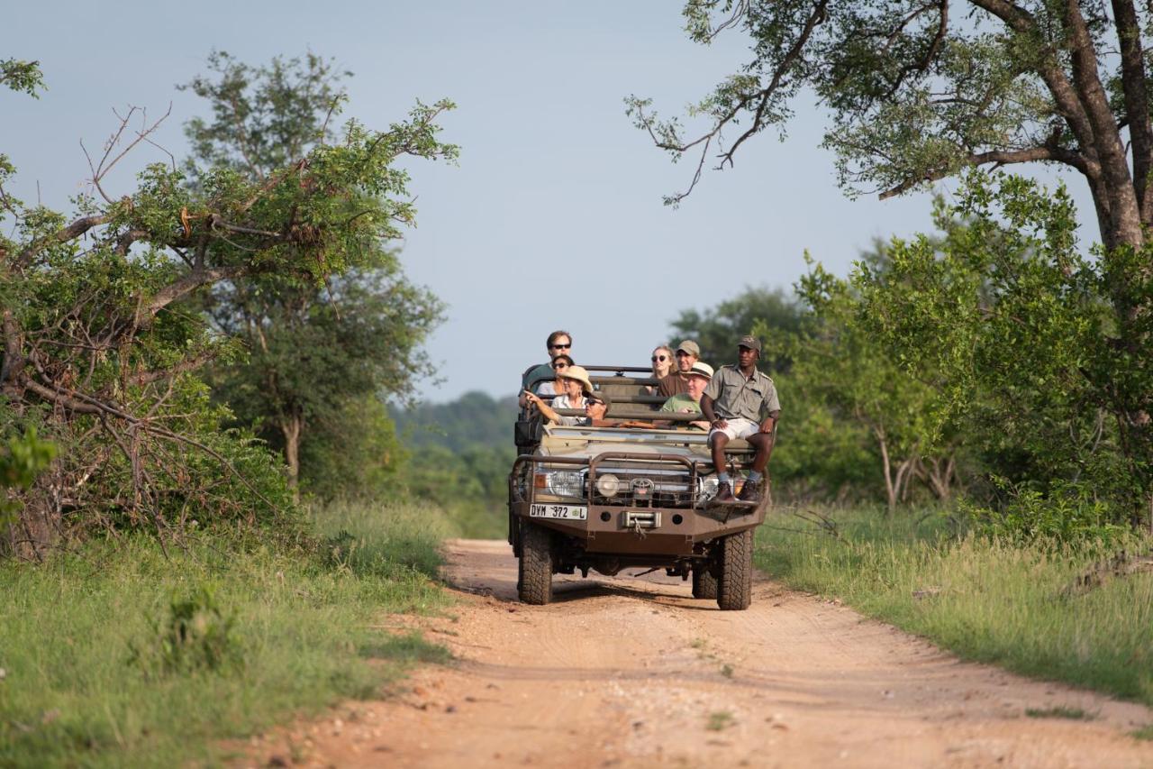 Sausage Tree Safari Camp Khu bảo tồn Khu bảo tồn Balule Game Reserve Ngoại thất bức ảnh
